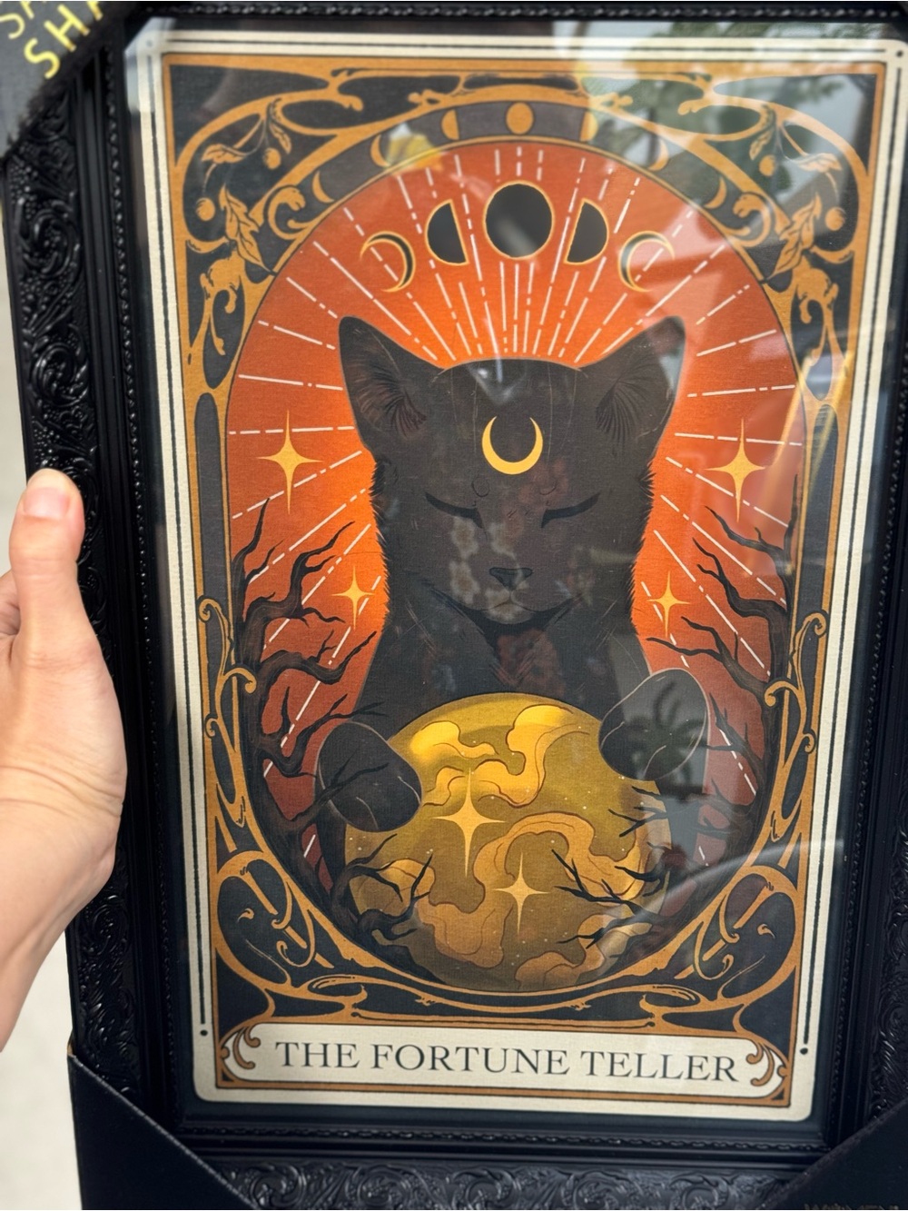 Sapna Shah The Fortune Teller Black Cat Gothic Wall Art 12x18